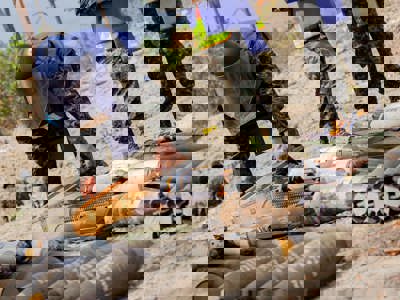 A person in a HALO vest and visor carefully handling a box among a stockpile of weapons in Honduras